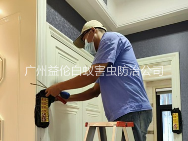 横沥住宅白蚁防治工程