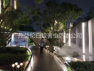 榄核小区消杀蚊蝇工程