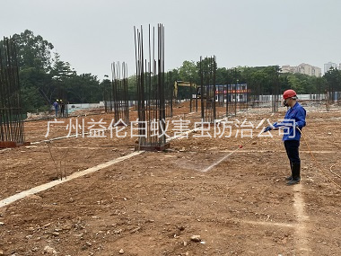 黄阁新建白蚁预防工程